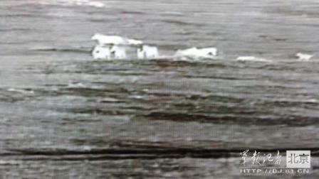 邊防軍出奇事:白天見珍稀動物晚上拍狼馬大戰