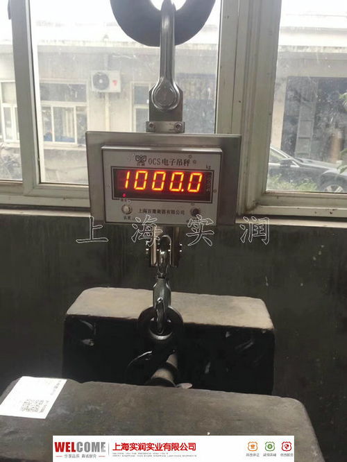 ocs 5t不銹鋼電子吊秤,全034不銹鋼外殼